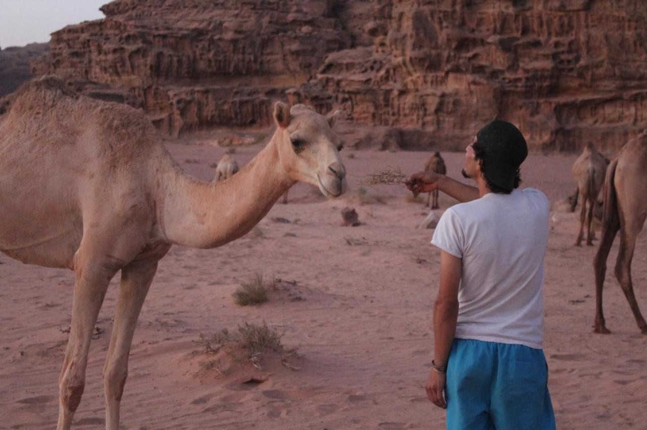 Star City Camp Wadirum Wadi Rum Extérieur photo