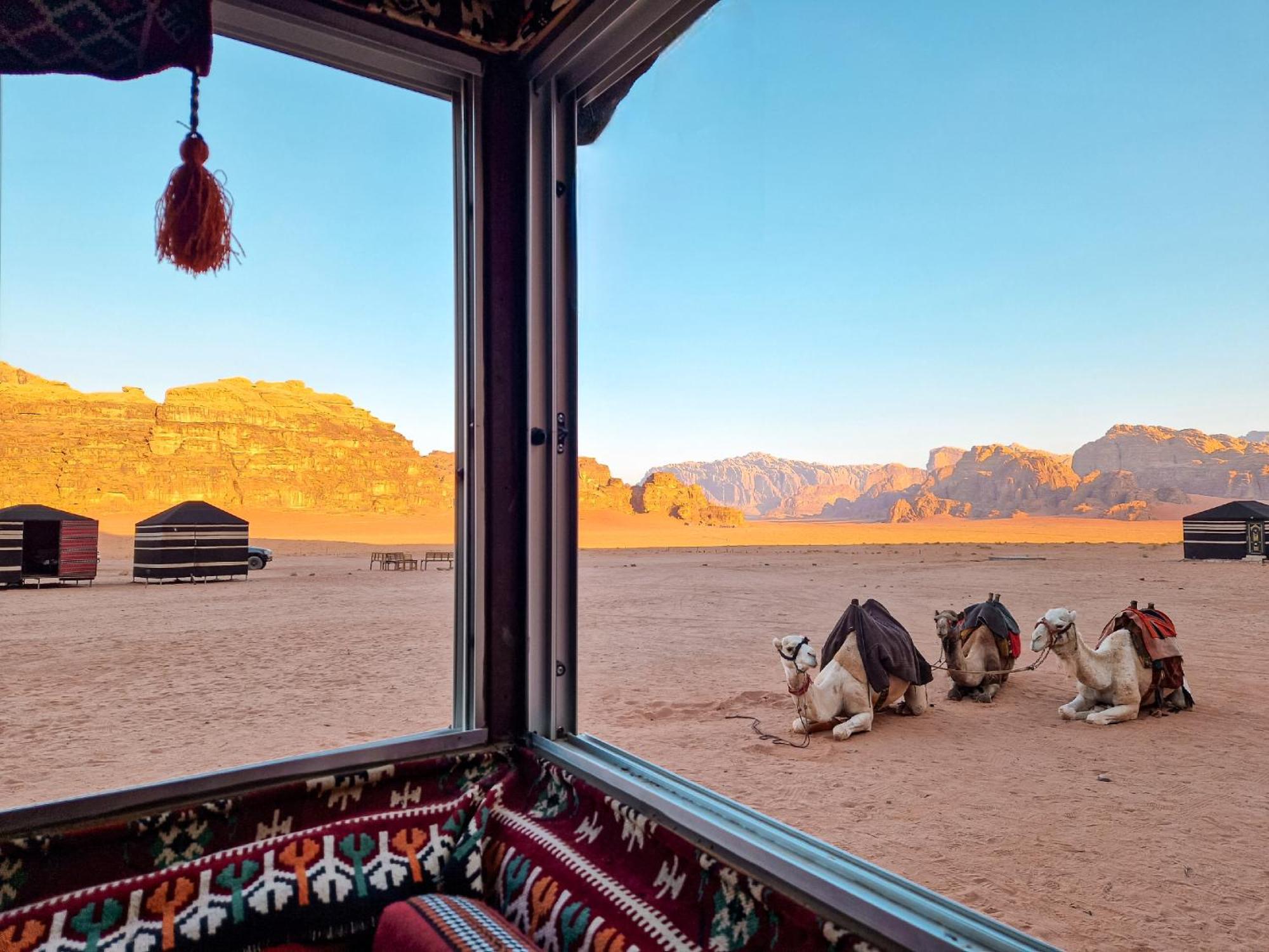 Star City Camp Wadirum Wadi Rum Extérieur photo